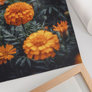 Poster na stenu Letná záhrada