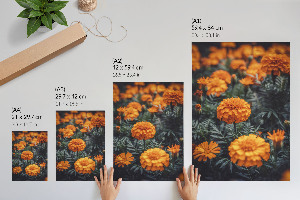 Poster na stenu Letná záhrada