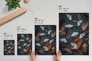 Plagát do obývačky Biele mole