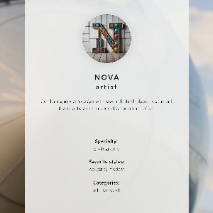 Plagát do izby Nos lietadla