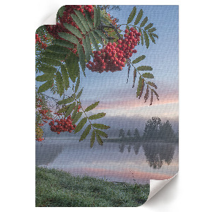 Plagát do izby Príroda ráno