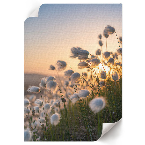 Poster na stenu Romantická krajina