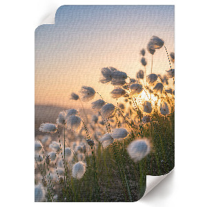 Poster na stenu s motívom romantickej krajiny