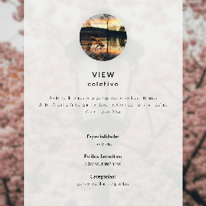 Poster na stenu Biele kvety