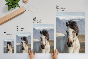 Plagát do izby Kôň s hrivou