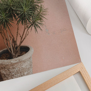 Plagát do obývačky Črepníková rastlina