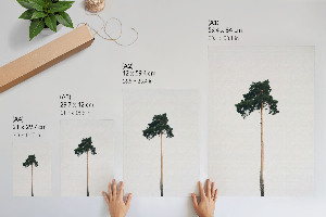 Poster na stenu Osamelý strom