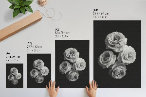 Poster na stenu Štyri ruže