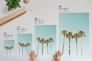 Plagát do obývačky Tropické palmy