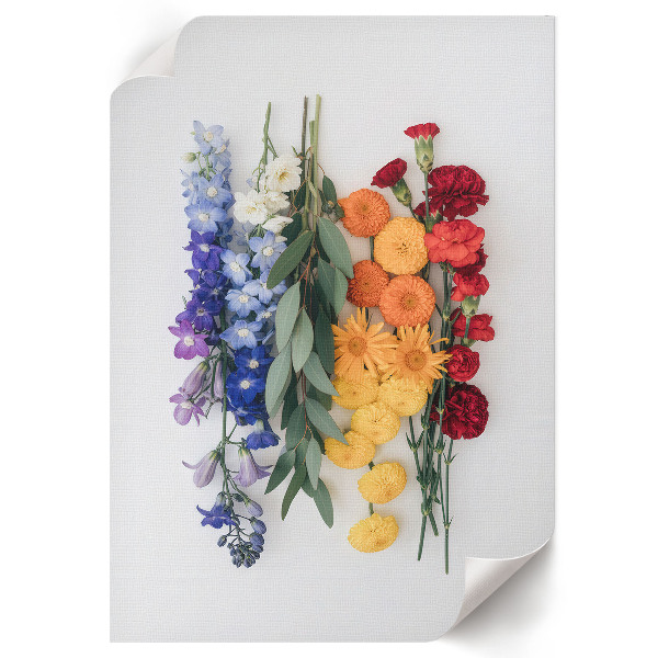 Plagát do obývačky Farebné kvety