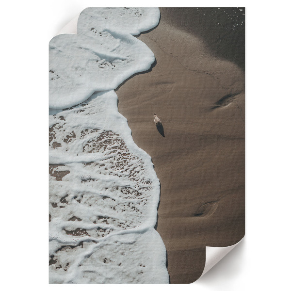 Plagát do obývačky Príroda na pláži