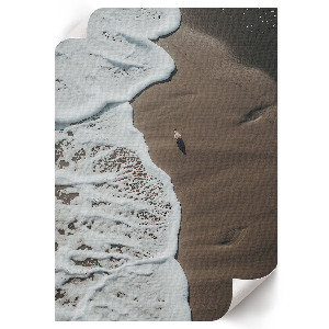 Plagát do obývačky Príroda na pláži