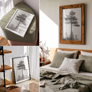 Plagát do obývačky Hmla a stromy