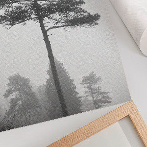 Plagát do obývačky Hmla a stromy