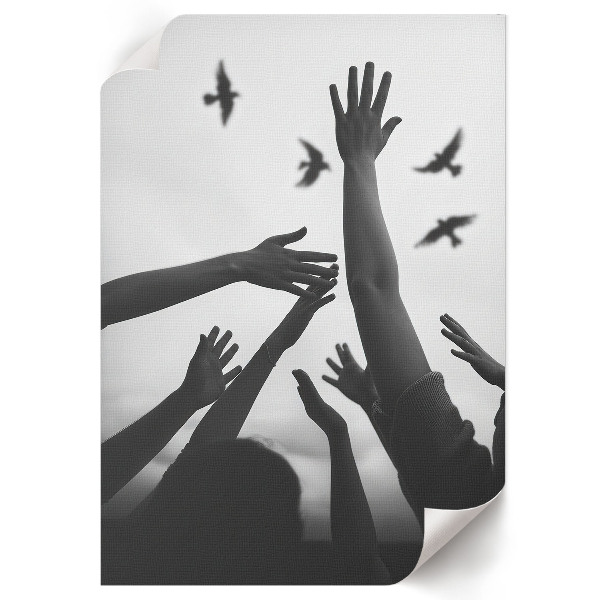 Poster na stenu Ruky a vtáky