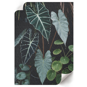 Poster na stenu Zelené listy