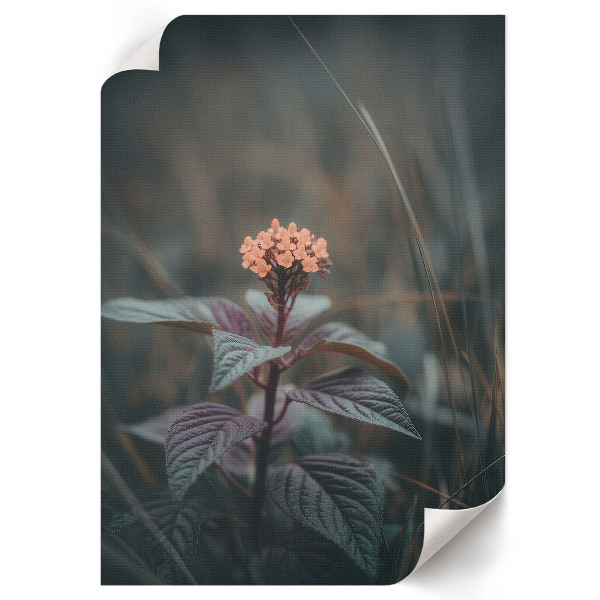 Plagát do obývačky Kvetinové kúzlo