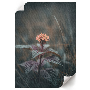 Plagát do obývačky Kvetinové kúzlo