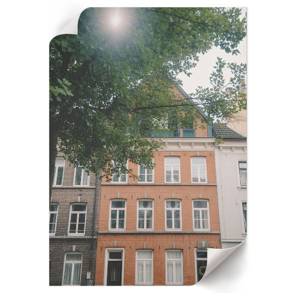 Poster na stenu Príroda činžovného domu