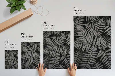Poster na stenu Čierne a biele paprade