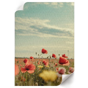 Poster na stenu Letné kvety