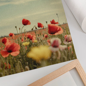 Poster na stenu Letné kvety