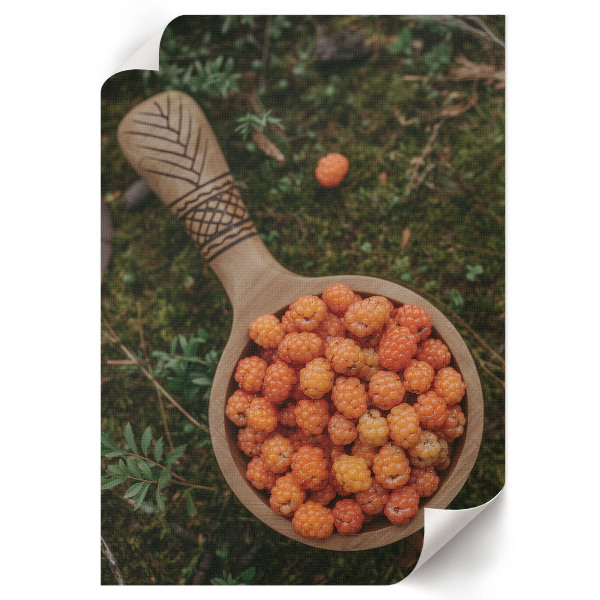 Plagát do izby Lesné bobule