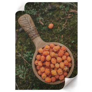 Plagát do izby Lesné bobule