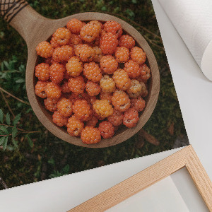 Plagát do izby Lesné bobule