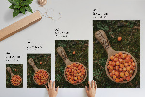 Plagát do izby Lesné bobule