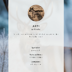 Plagát do izby Zimná krajina