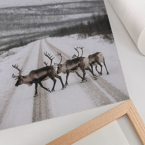 Plagát do izby Zimná krajina