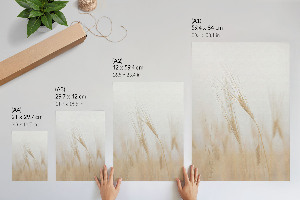 Plagát do obývačky Klasy obilia