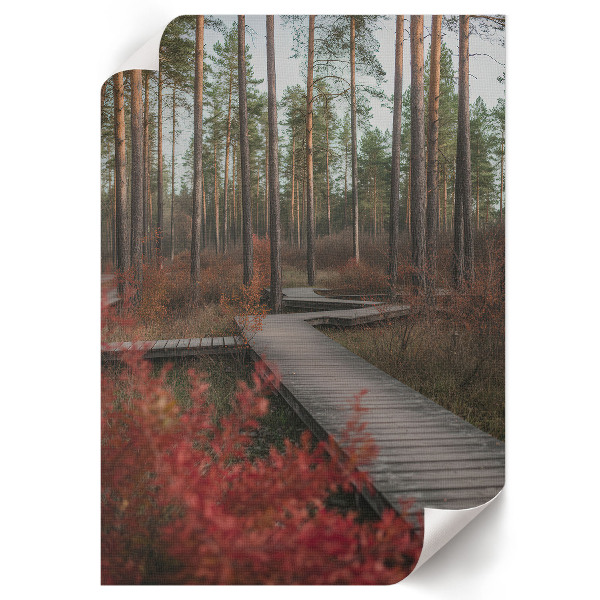 Poster na stenu Lesná cesta