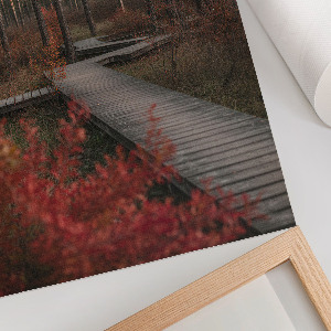 Poster na stenu Lesná cesta