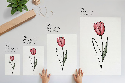 Poster na stenu Ružový tulipán