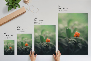 Plagát do izby Oranžové bobule