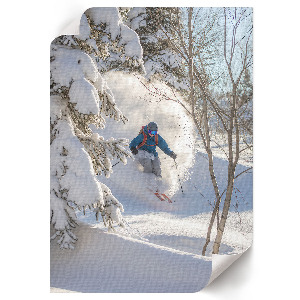 Plagát do izby Zimný zostup