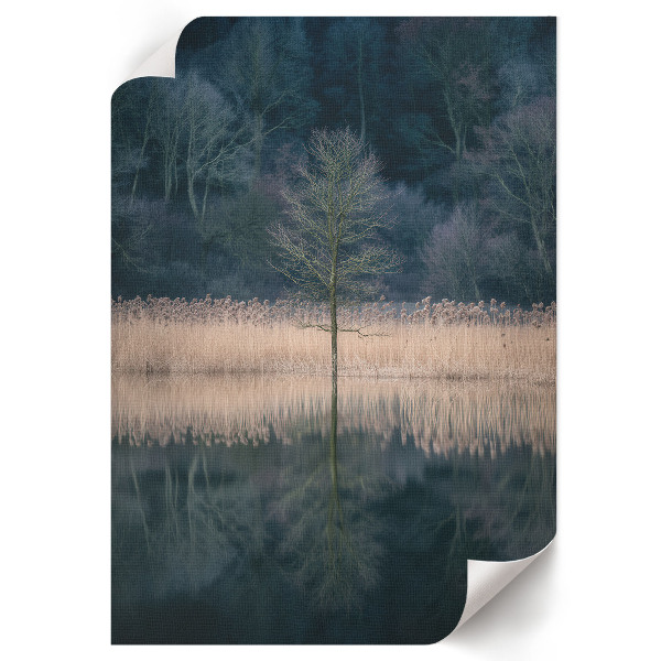 Plagát do izby Pokojná krajina