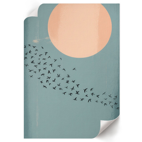 Plagát do izby Vtáky na oblohe