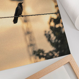 Poster na stenu Vták na kábli