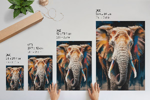 Plagát do izby Slon vo farbách