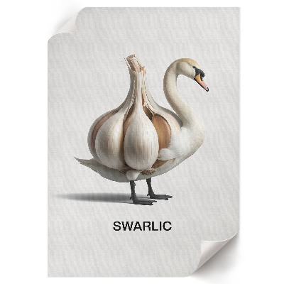Poster na stenu Labuťový cesnak