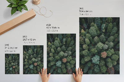 Poster na stenu Les zhora