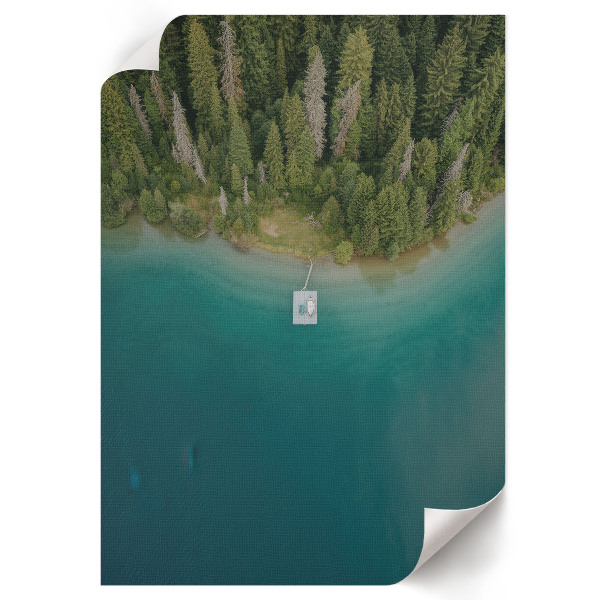 Plagát do izby Lesný raj