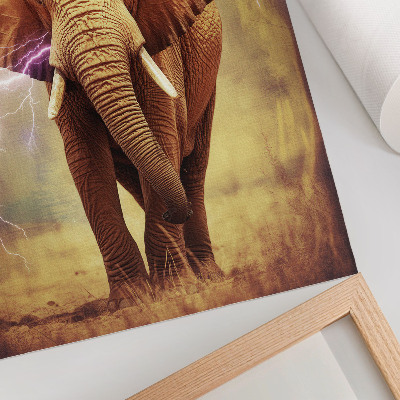 Poster na stenu Slon s bleskom
