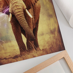 Poster na stenu Slon s bleskom