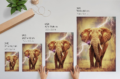 Poster na stenu Slon s bleskom
