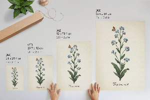 Retro plagát kvet nezábudky