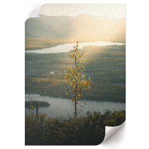 Plagát do izby Krajina prírody